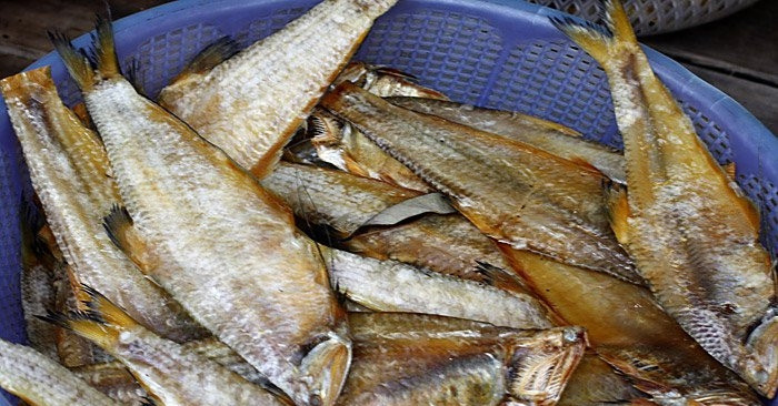 3 bo phan cua ca nen han che an de tranh nhiem doc to 2004.jpg