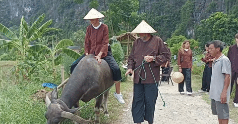 Khách Tây cười vang khi cưỡi trâu, úp cá giữa đồng quê Ninh Bình khach tay cuoi vang khi cuoi trau up ca giua dong que ninh binh 1146.gif