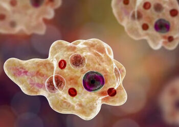 00 1757653329 1757653338 6494 1757653776.jpg