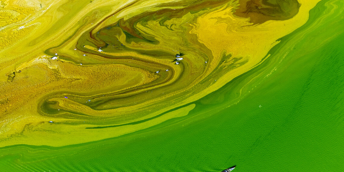 005 1754728677 1754729377.jpg