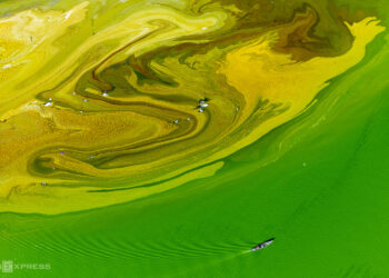 005 1754728677 1754729377.jpg