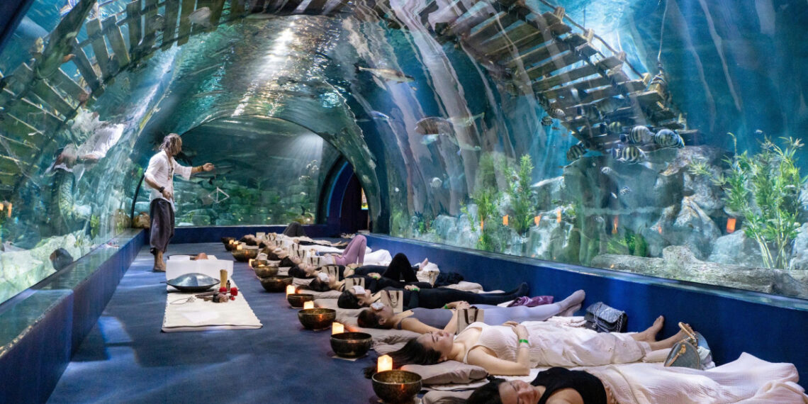 00c1ad9ba0892ad77398 175886549 6527 6335 1758866061.jpg