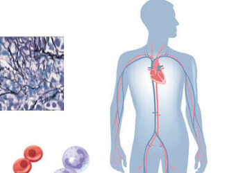 1 1756790722 1756790816 2283 1756790826.jpg