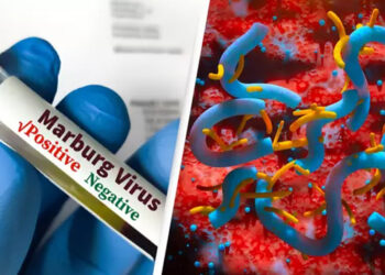 1 1756947644 1756947679 1616 1756947761.jpg