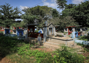 1.3 hinh the tot cua sa can giap.jpg