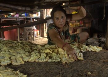 11 1754554254 5148 1754554870.jpg