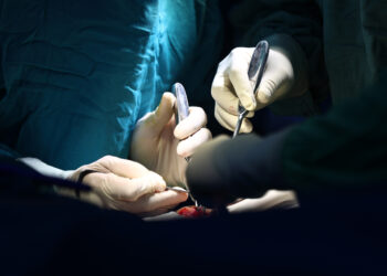 233a4261 1756791640 6626 1756791785.jpg