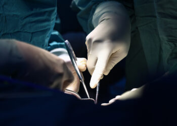 233a4285 2 1756474435 9889 1756474451.jpg