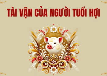 24.1 tai van cua nguoi tuoi hoi.png