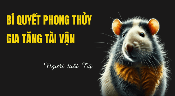 25.1 bi quyet phong thuy giup nguoi tuoi ty gia tang tai van.png