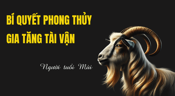 Bí quyết phong thủy giúp người tuổi Mùi gia tăng tài vận 32.1 bi quyet phong thuy giup nguoi tuoi mui gia tang tai van.png
