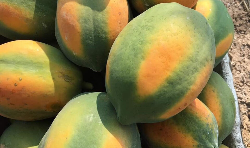 396698904 316644377795347 4617640224427092926 n 1754747971.jpg