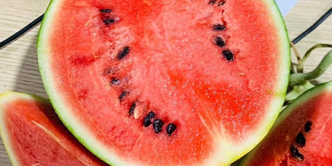 438029664734182068924136879800 1266 8988 1754711031.jpg