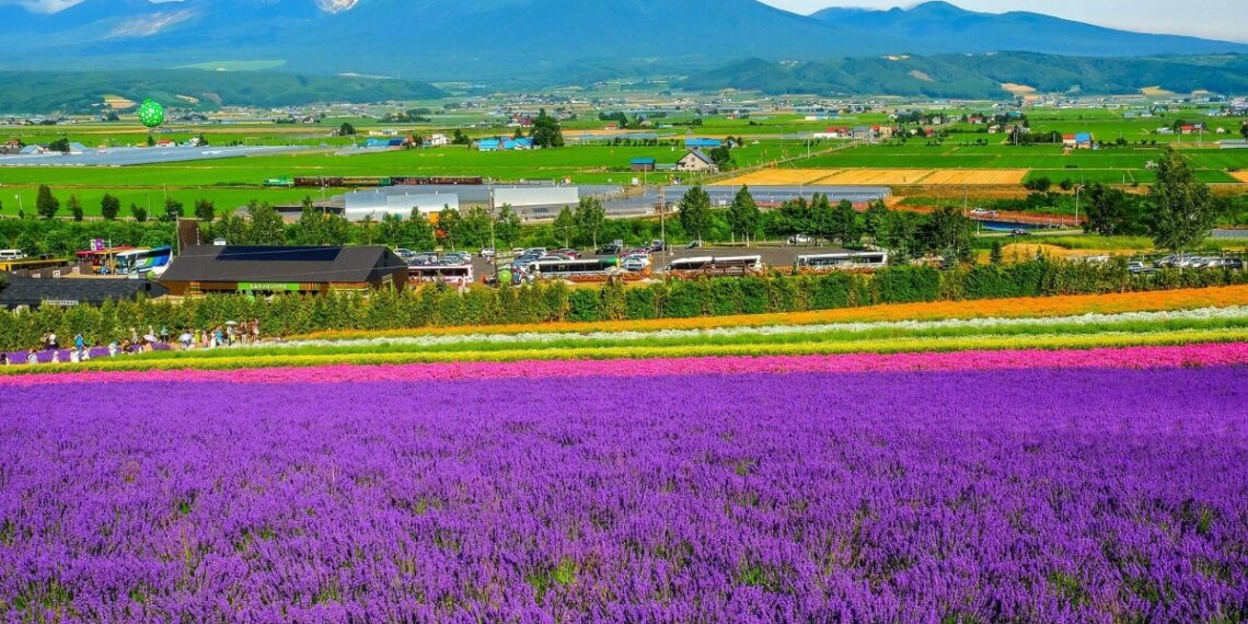 468015349 10235815405076143 36 1635 3023 1741745404.jpg