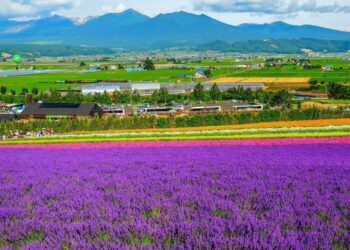 468015349 10235815405076143 36 1635 3023 1741745404.jpg