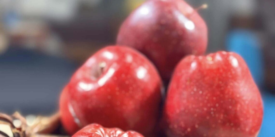 468805508302199325794840989558 7208 9654 1752634633.jpg