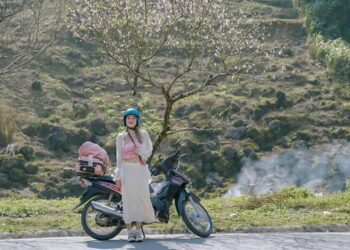 500458743 1799767377617135 211 8341 2727 1754391885.jpg