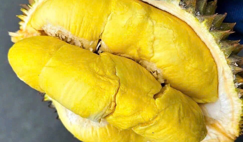 544647324 780808141378966 1798306034949473322 n 1757300190 1757300222 1757300301.jpg