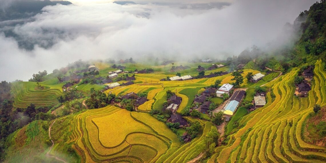 Ngắm ruộng bậc thang vào độ chín vàng ở Hoàng Su Phì 547418848 24715607614792795 4855429521642240208 n 1757791039 1757791060 1757791148 1757912633.jpg