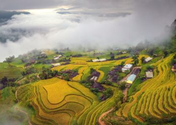 547418848 24715607614792795 4855429521642240208 n 1757791039 1757791060 1757791148 1757912633.jpg