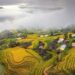 Ngắm ruộng bậc thang vào độ chín vàng ở Hoàng Su Phì 547418848 24715607614792795 4855429521642240208 n 1757791039 1757791060 1757791148 1757912633.jpg