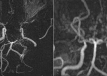 554324726 3208044022679263 474 3255 6279 1758879329.jpg