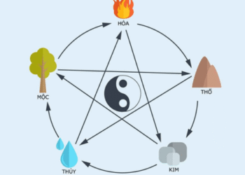 8.3 quai vi san sinh ra ngu hanh.png