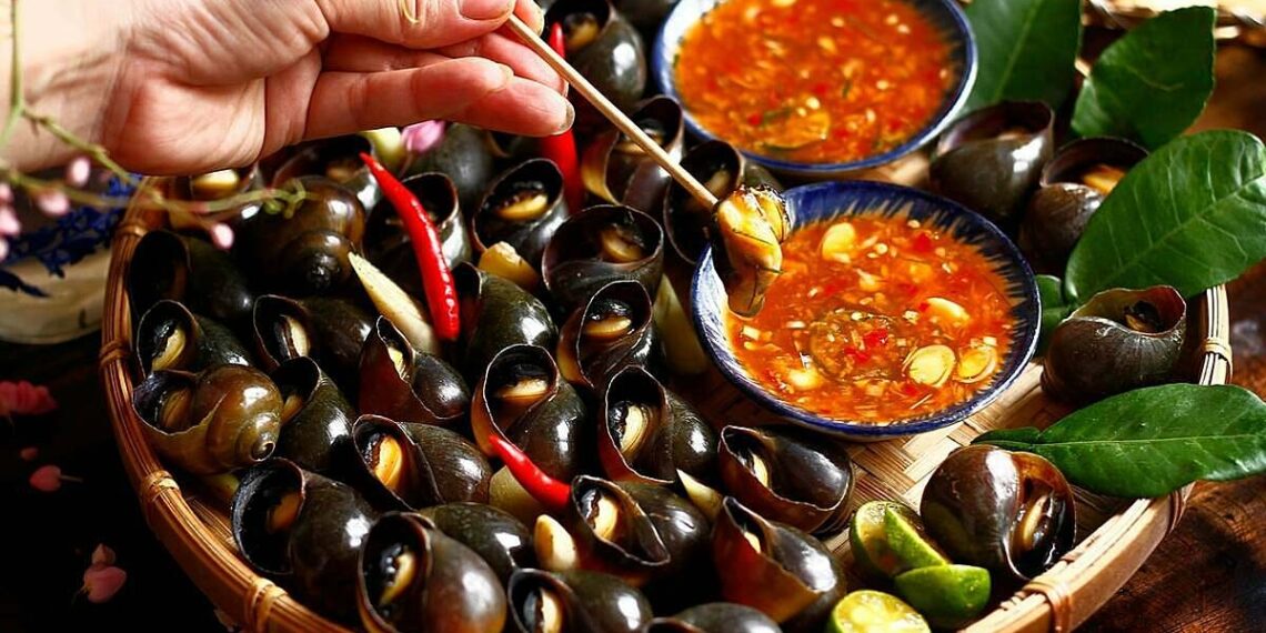 83544fca c9fc 48cc b9a3 5440b2 7846 5907 1758097920.jpg