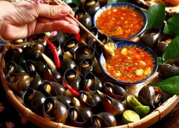 83544fca c9fc 48cc b9a3 5440b2 7846 5907 1758097920.jpg