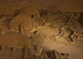 9.1 phuong phap tim long phan biet huyet dia tot xau.jpg