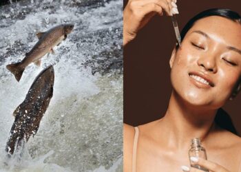 960x0 1757090446 1757090518 9540 1757091133.jpg