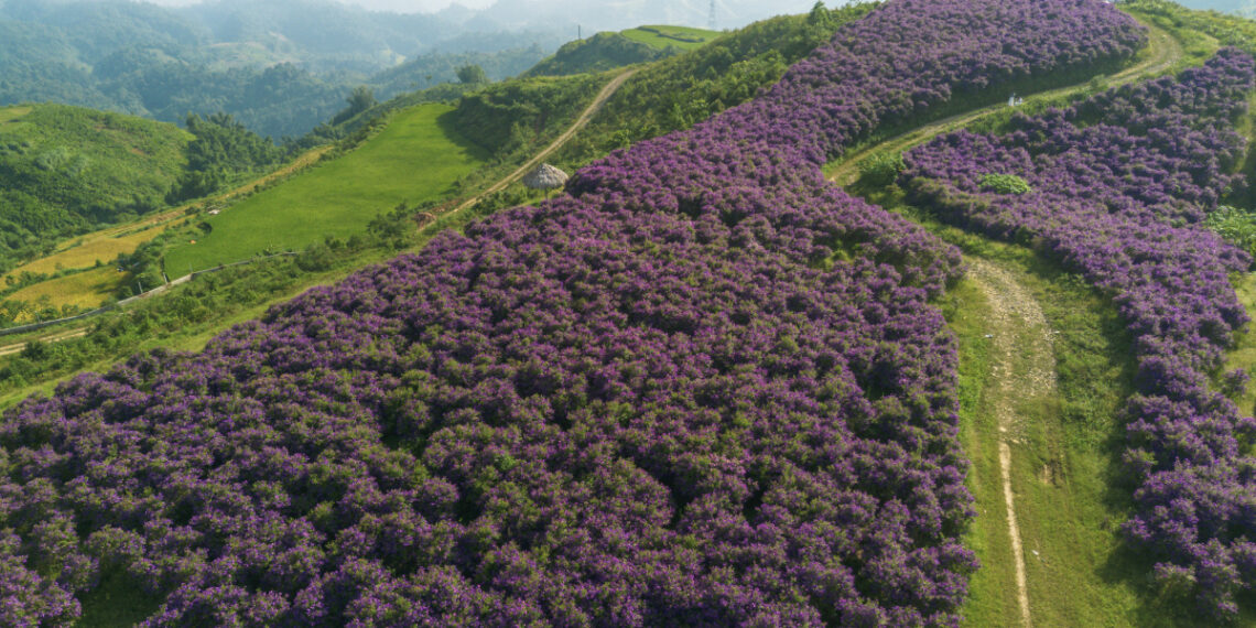 dji 0124 2 1757319395.jpg