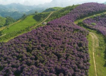 dji 0124 2 1757319395.jpg