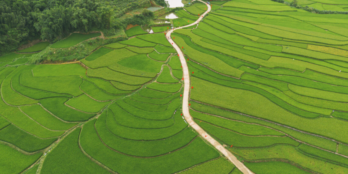 dji 0735 1 1755679085.jpg