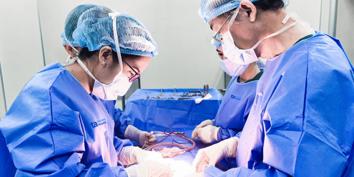 di ba o 1757634463 9346 1757634697.png