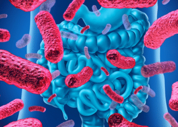 image 189071843 extractword 0 1200 4722 1758094651.png