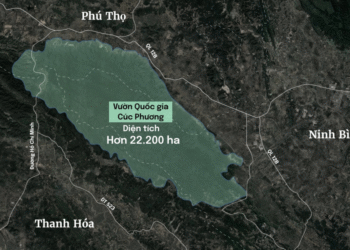 so do tham quan pdf 1755873886.png