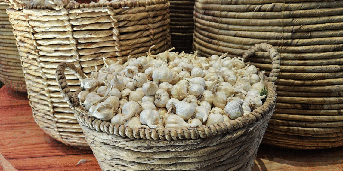 a nh chu p ma n hi nh 2025 08 4535 1771 1755666766.png