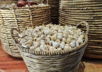 a nh chu p ma n hi nh 2025 08 4535 1771 1755666766.png