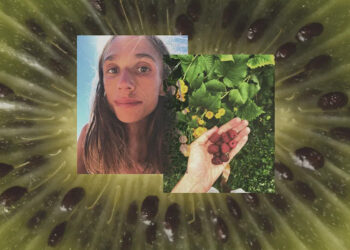 an chay1 1758879032 1758879053 9204 1758879509.jpg