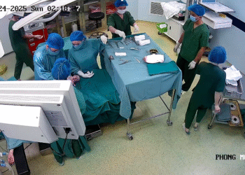 anh chup man hinh 2025 08 31 l 2869 5505 1756612611.png