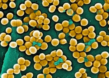 anh chup man hinh 2025 09 04 l 6358 8208 1756962057.png