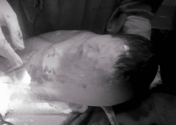 anh chup man hinh 2025 09 21 l 8903 2310 1758448478.png