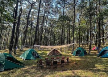 bavi 1735292582 1279 173529534 6065 8352 1735360102.jpg