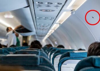 black triangle airplane cabin 1742 2150 1741077247.jpg