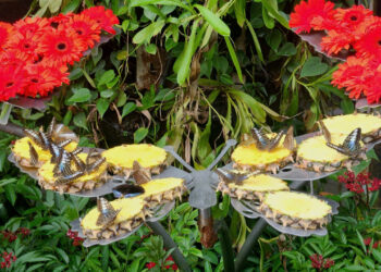 c3de78b06564ee3ab775 175721366 7609 8642 1757213747.jpg