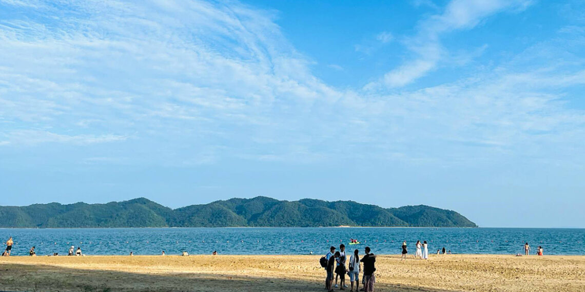 caichien1 1746694731 174669476 4536 4744 1746696804.jpg