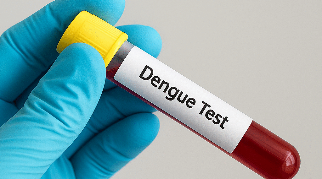 chatgptimagesep172025033501pm 7256 6924 1758098319.png