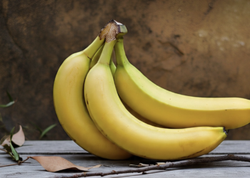 chuoi 1757669803 1757669816 2757 1757669820.png