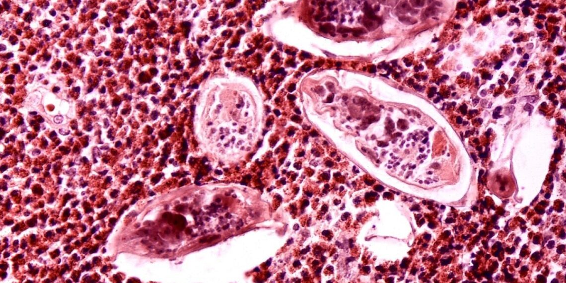 d3202a82dcf24d99869deda77e86a1 7508 4112 1756956352.jpg